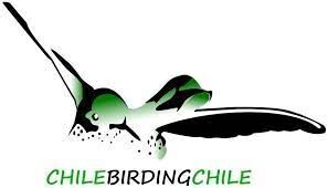 Chile Birding Chile, empresa de turismo ornitológico.