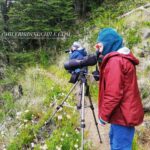 Observando aves con ChileBirdingChile